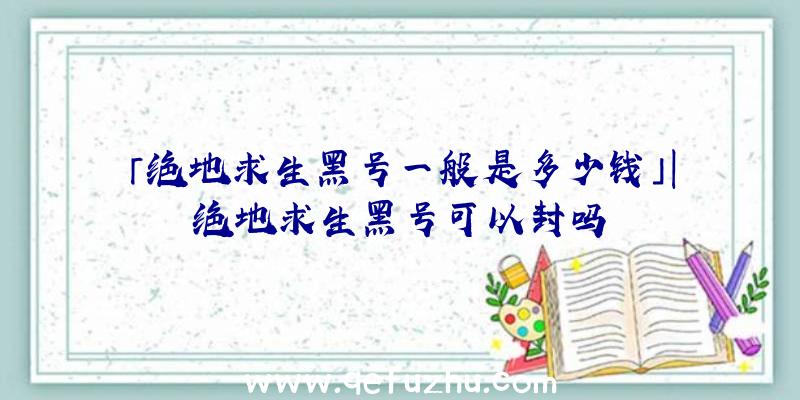 「绝地求生黑号一般是多少钱」|绝地求生黑号可以封吗